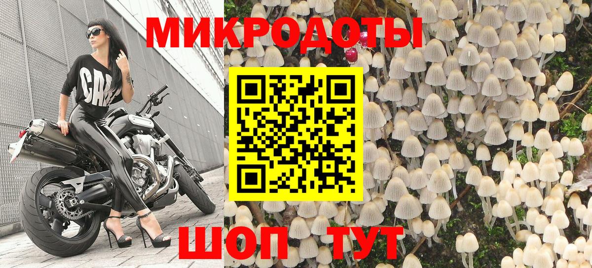 Псилоцибиновые грибы Magic Shrooms Заречный