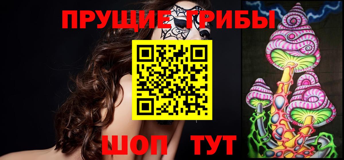 Заречный  Псилоцибиновые грибы Psilocybine cubensis  Псилоцибиновые грибы GOLDEN TEACHER  Вход с VPN 